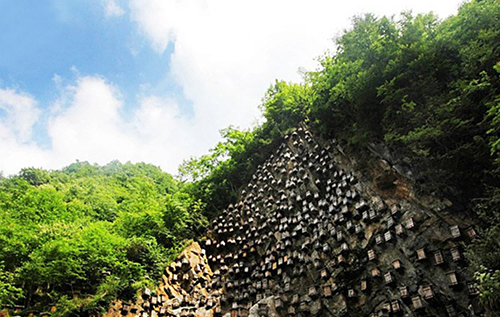 武汉神农架基地