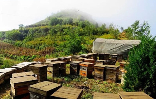 江苏秦岭基地