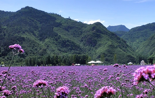 湖北密云基地