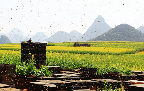 深圳山西吕梁基地