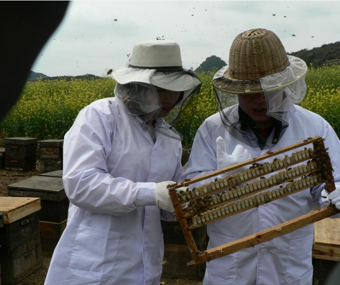 1507795439337577.png blob.png